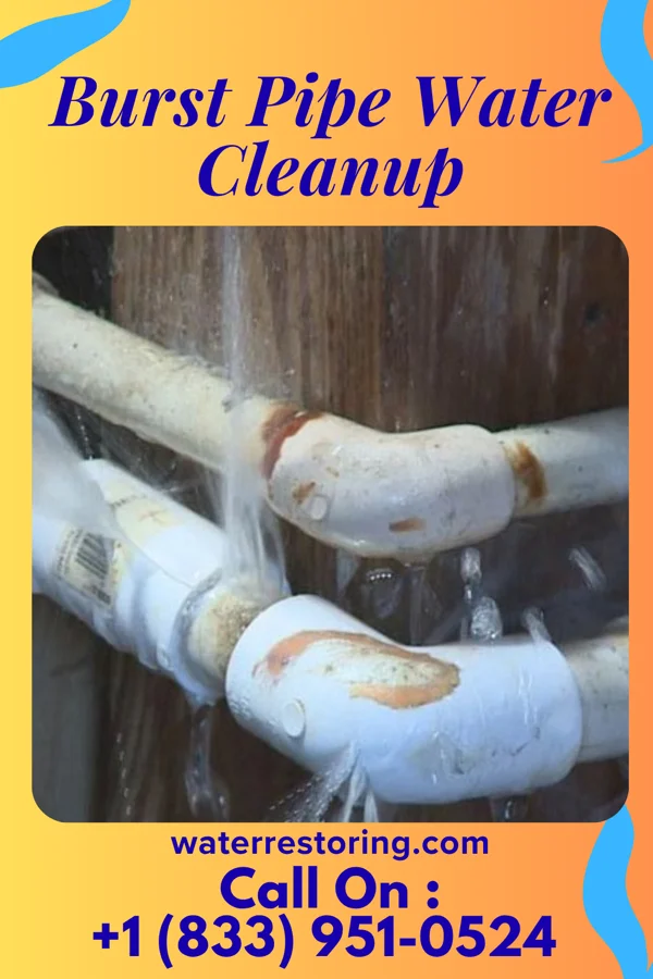 Burst Pipe Water Cleanup in El Dorado Springs, MO