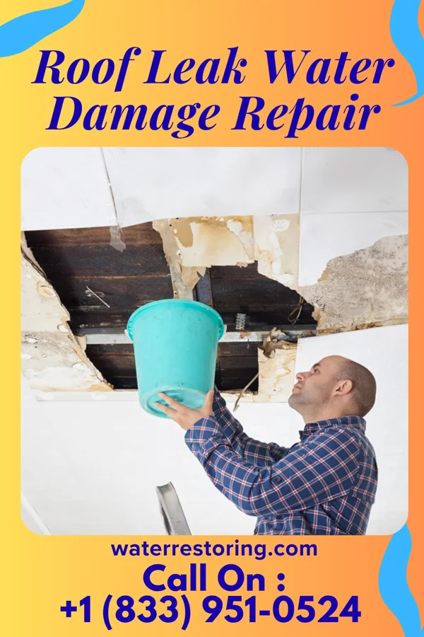 Roof Leak Water Damage Repair in El Dorado Springs, MO