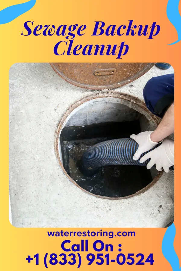Sewage Backup Cleanup in El Dorado Springs, MO