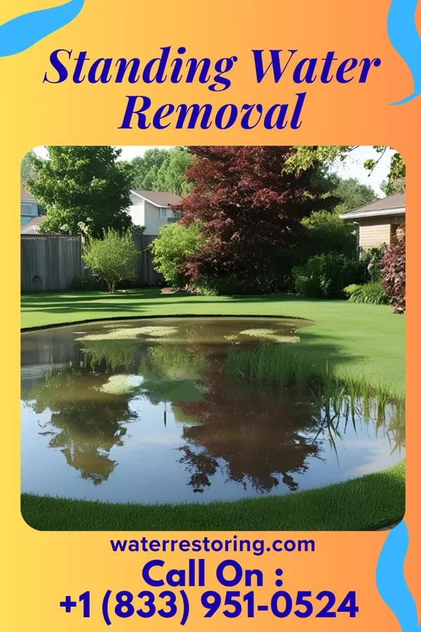 Standing Water Removal in El Dorado Springs, MO
